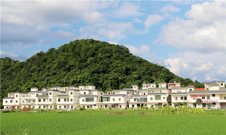 沙園村全村面貌煥然一新。（清遠日報特約通訊員張麗思 攝）.jpg