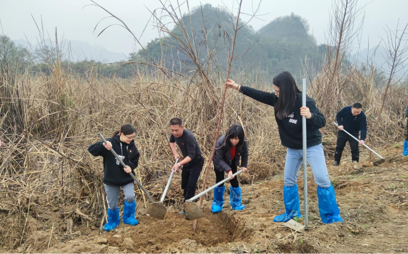 植樹(shù)圖片2.png