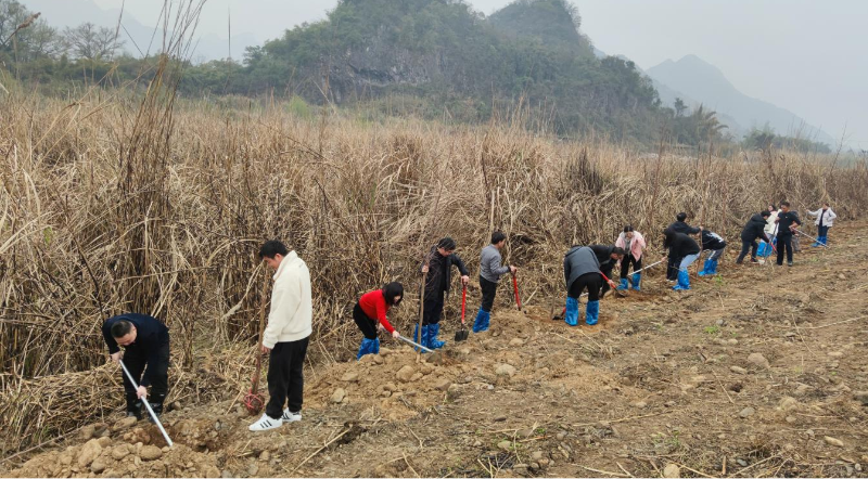 植樹(shù)圖片3.png